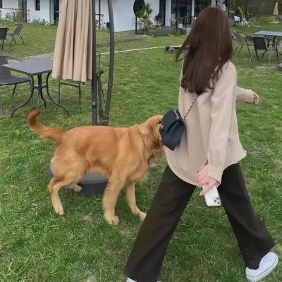 痞子校花变身记